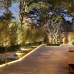 Jardim