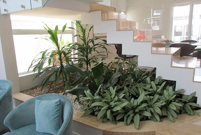 Jardim de inverno: como criar um espaço verde dentro de casa