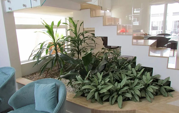 Jardim de inverno: como criar um espaço verde dentro de casa