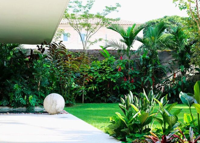 Jardim tropical: características e ideias