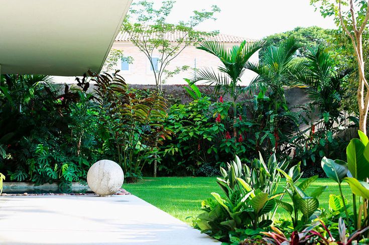 Jardim tropical: características e ideias