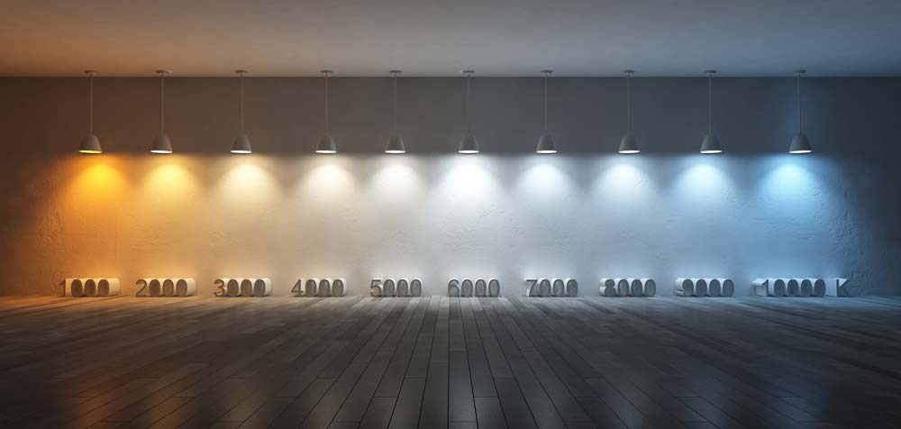 Luz quente ou fria: qual escolher?