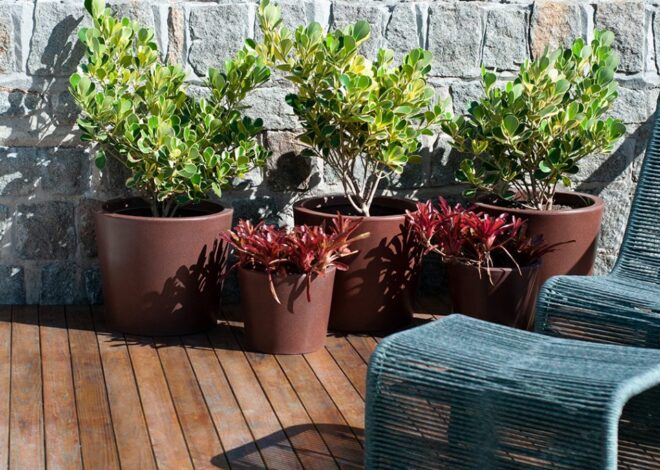 Planta para jardim: como escolher as melhores espécies